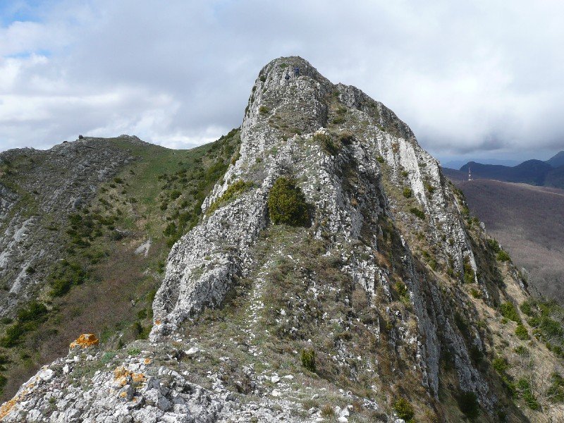 Eskamelo