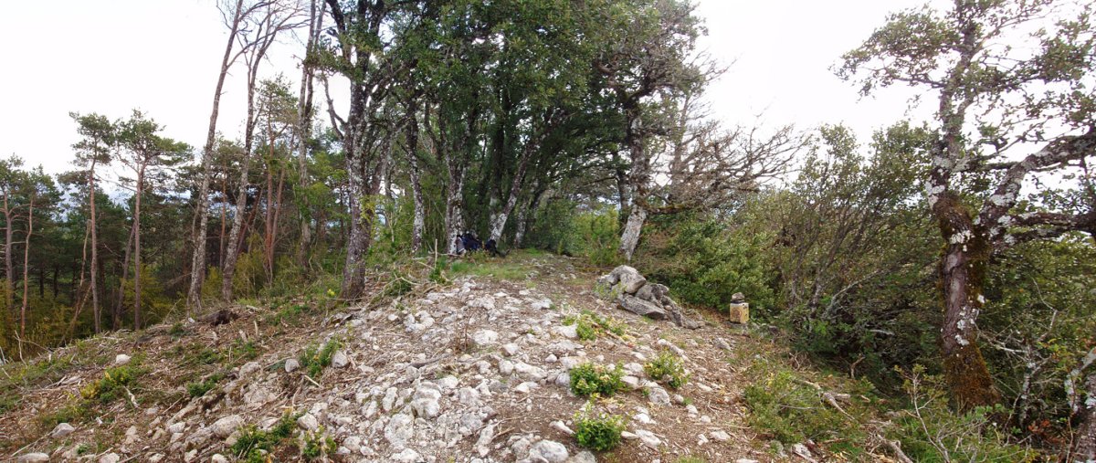 Belogaingo gailurra