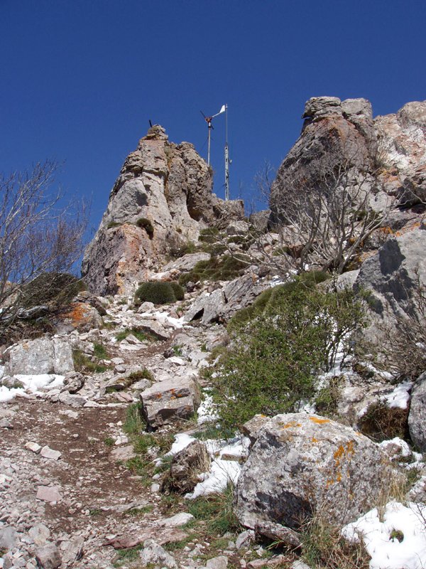 Gailurra