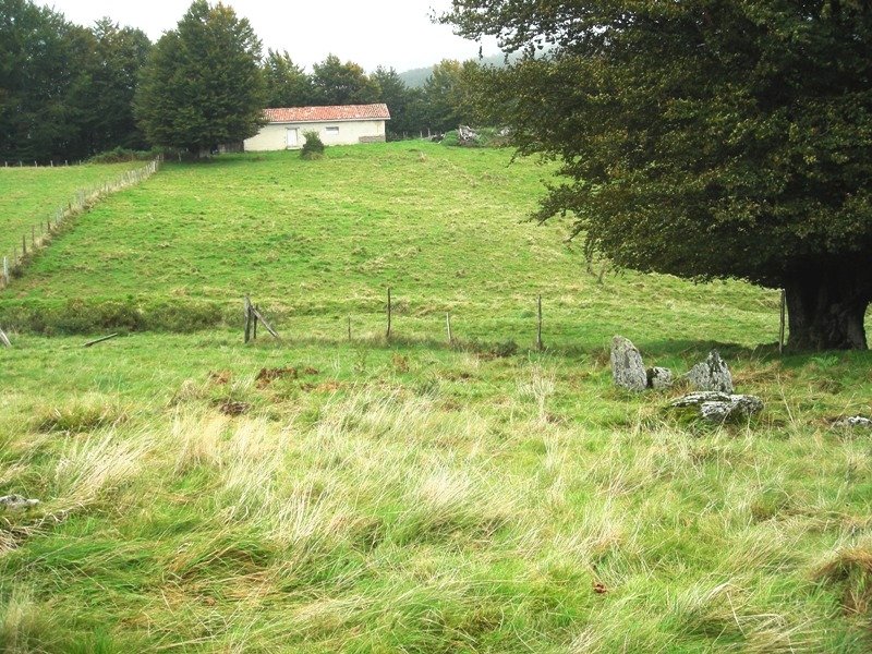 Iontza  harrespila