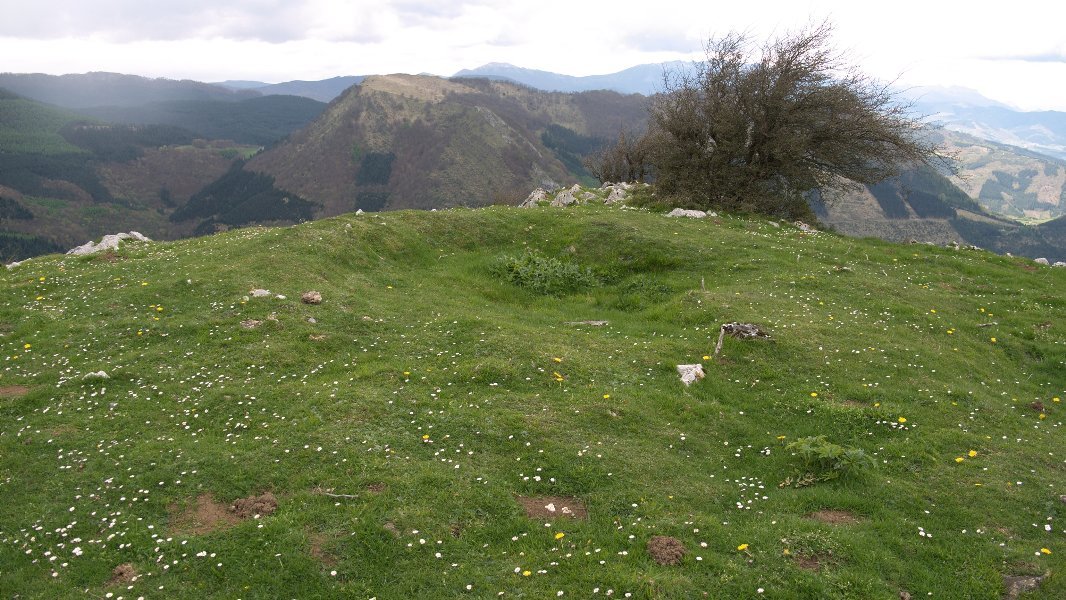 ...