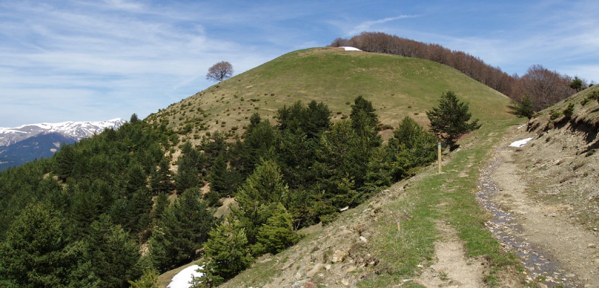 Saitsederra