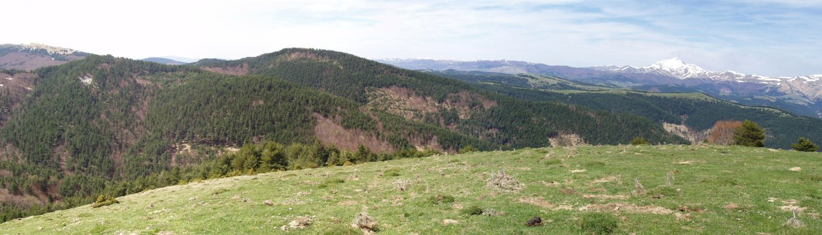 Lakuaga ekialdetik