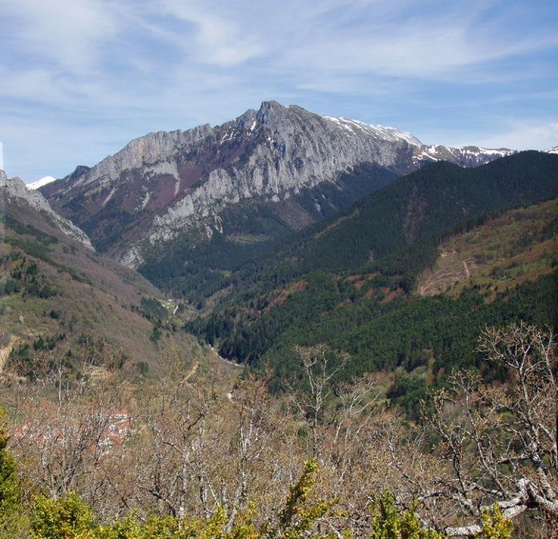 Ezkaurretxikia
