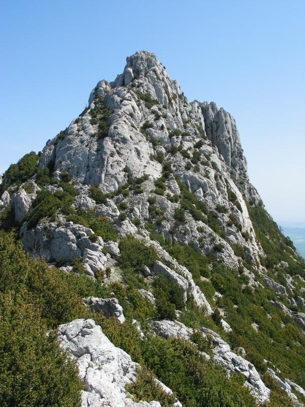 Mendebaldeko ertza