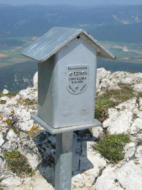 Buzoia