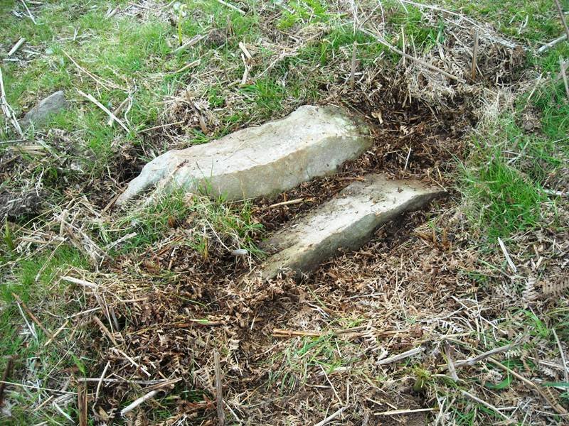 Muxugorri tumulua