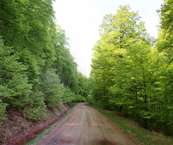 Aritzuko pista