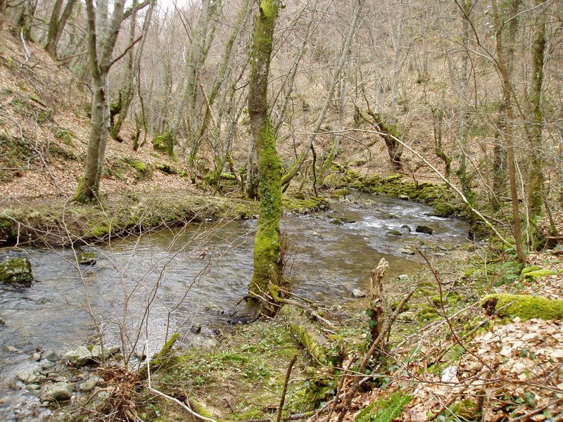 La Gándara erreka
