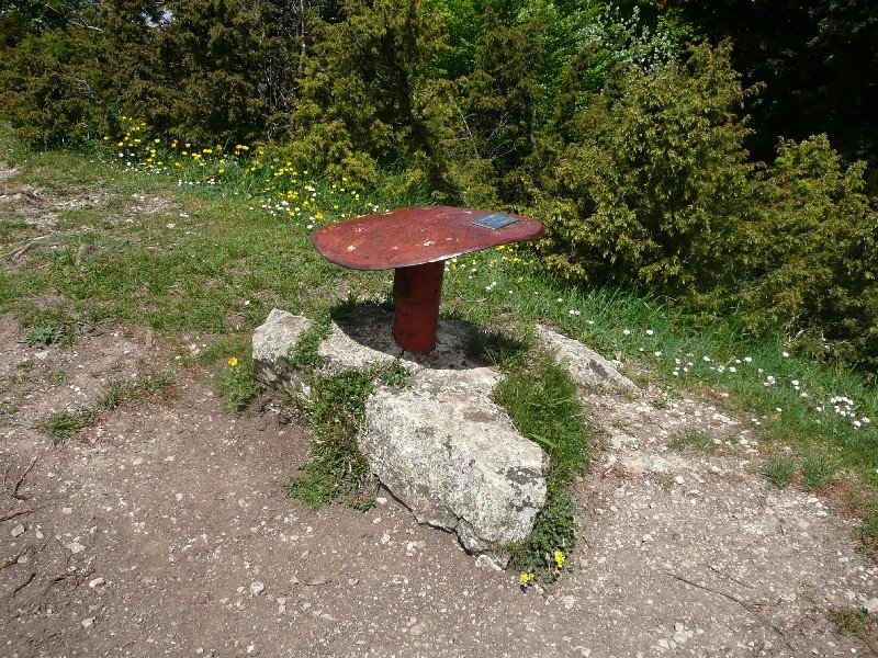 Buzoia