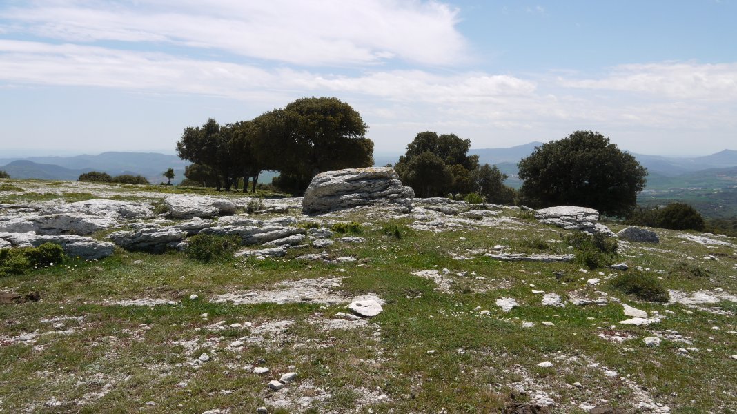 Tontorra
