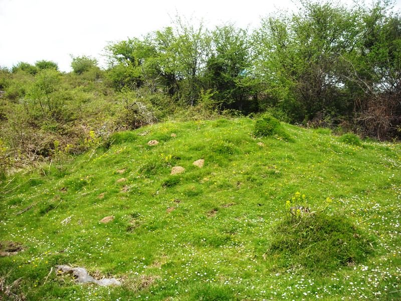 Udoia etxola hondoa