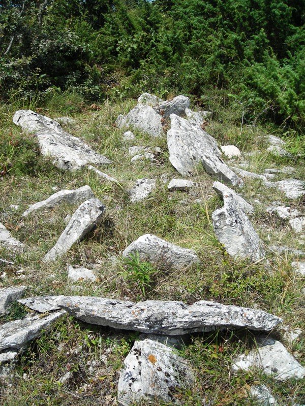 Larrola trikuharria