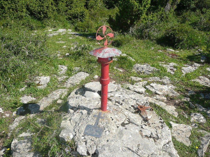 Buzoia