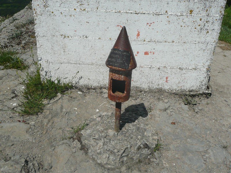 Buzoia