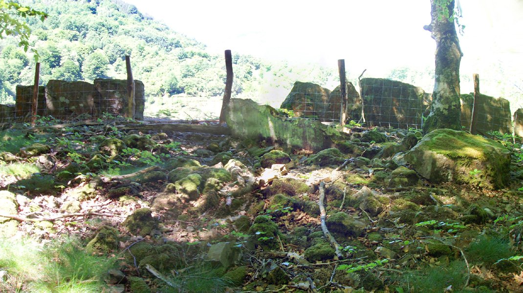 Suspiru trikuharria