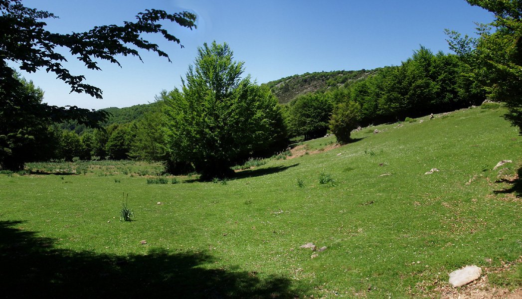 Motxorroko lepoa