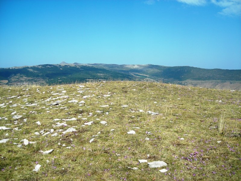 Mortxe 1 