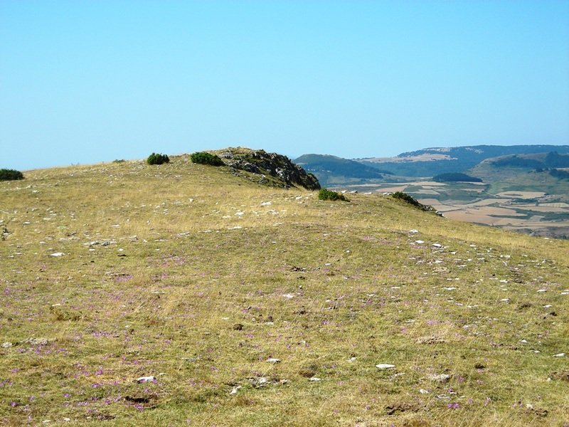 Mortxe 1 