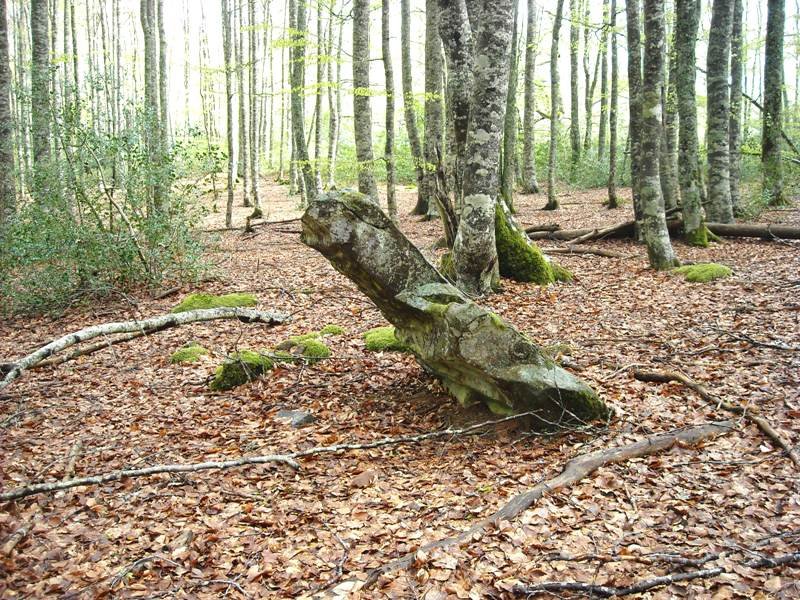 Irumugeta zutarria