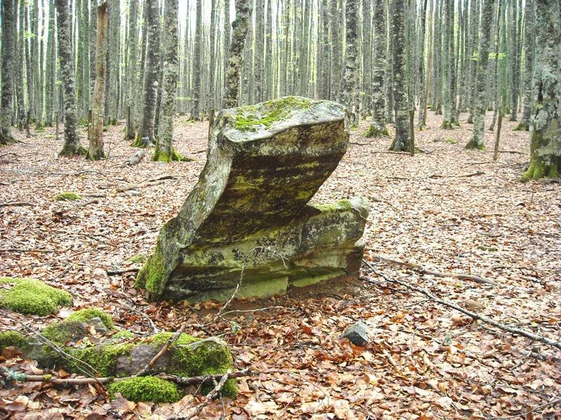 Irumugeta zutarria