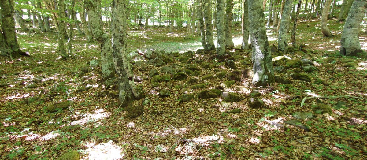 Urdinaga