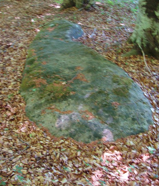 Urdinagako zutarria