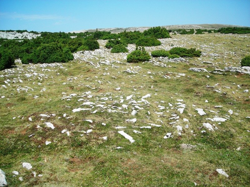 El Castillo tumulua
