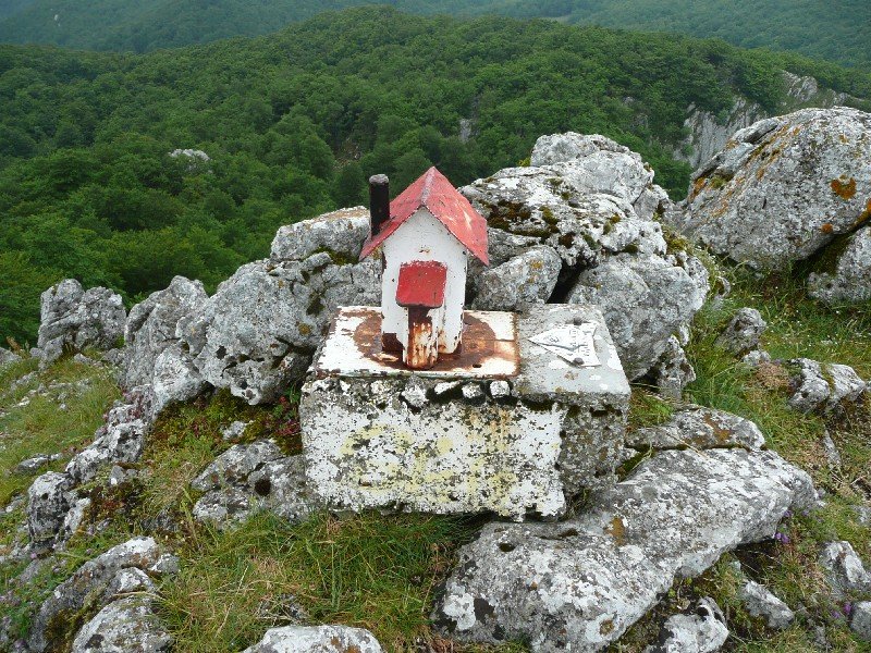 Buzoia
