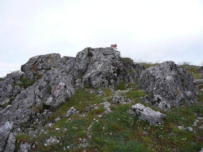 Tontorra