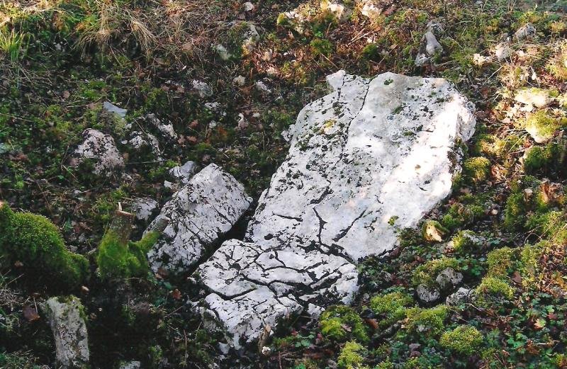 Azolape trikuharria