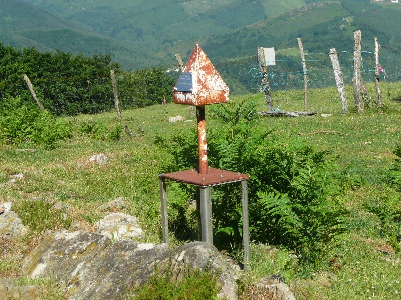 Buzoia