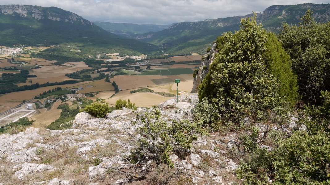 Lazkua tontorra