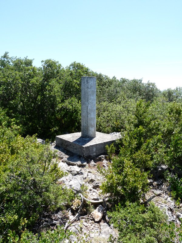 Trinitateko erpina