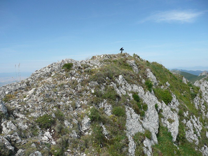 Tontorra