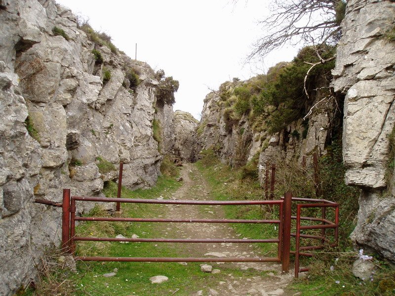 Goldetxoko ataka