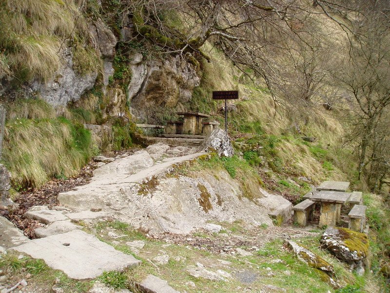 Goldetxo iturria