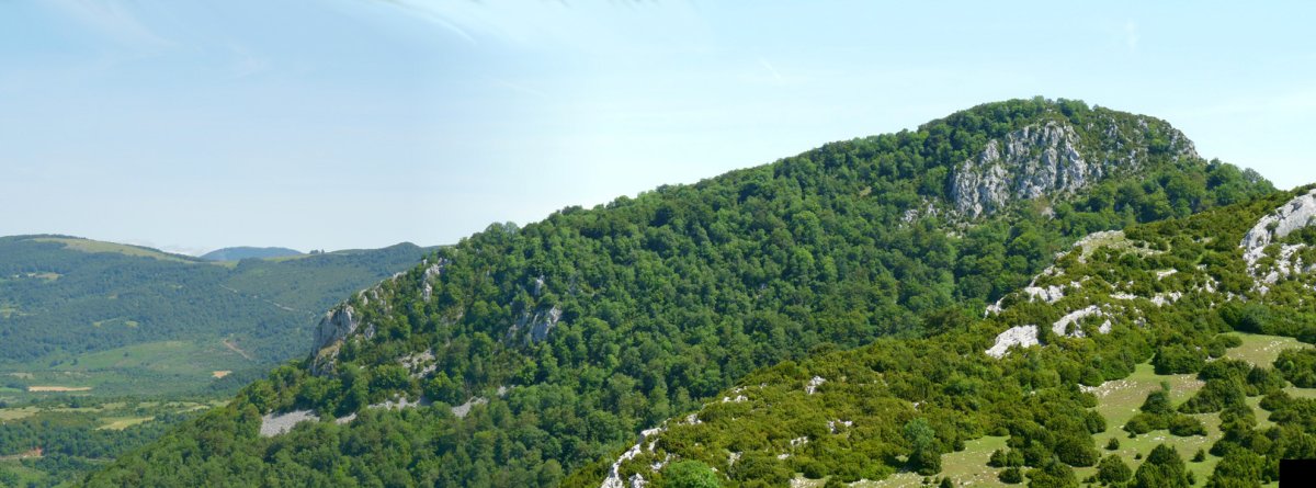 Pausaran