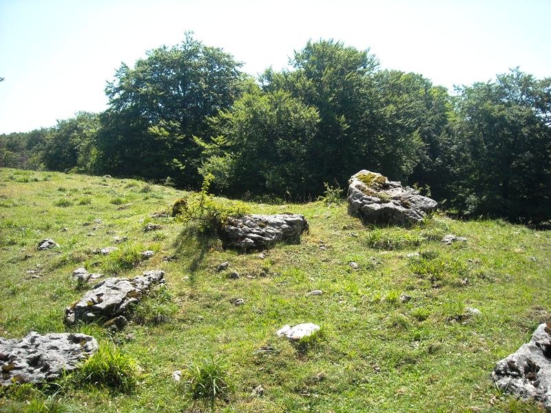 Gaasta