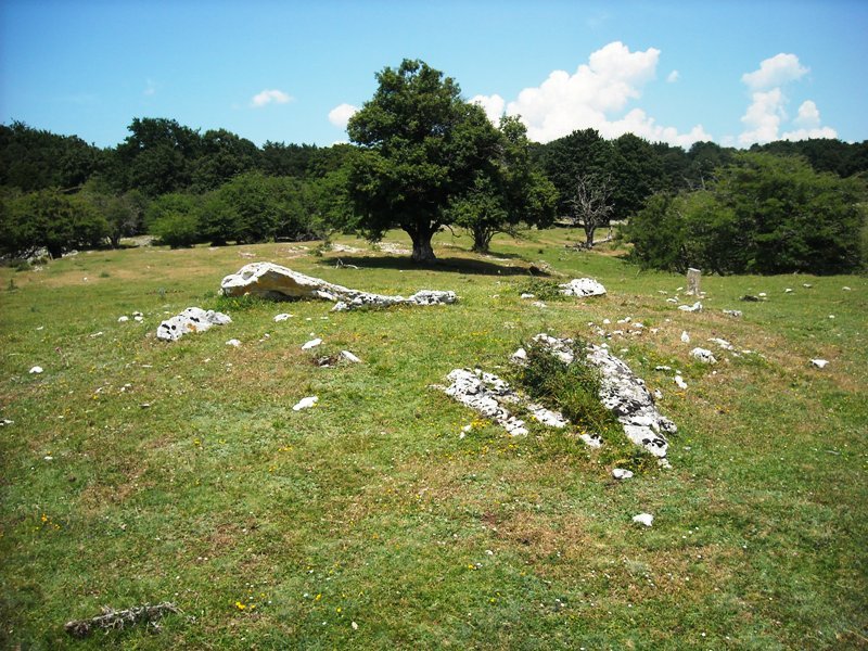 Larreaundi