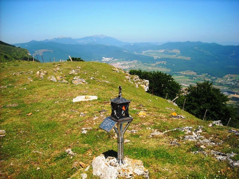 Buzoia