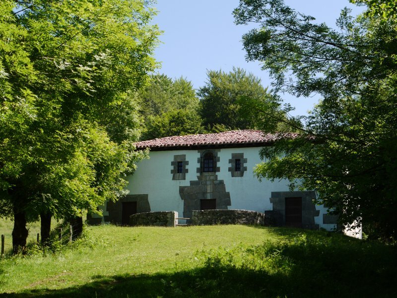 Bidetik