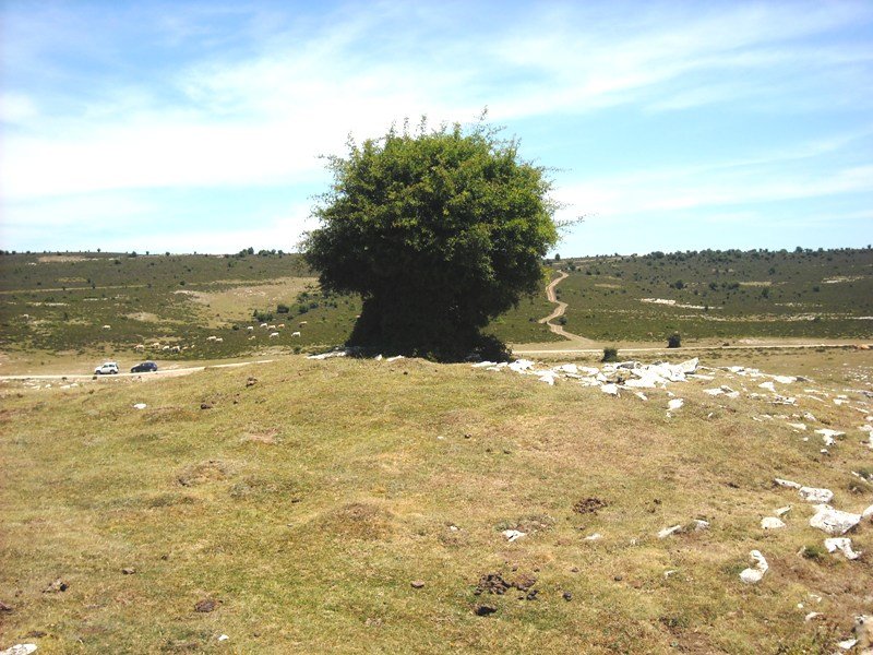 El  Espino  tumulua