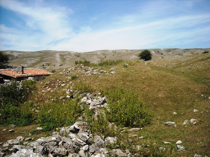 Laskardi