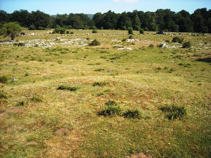 Ezkiza 1