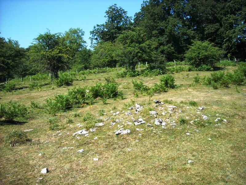 Siasmuno
