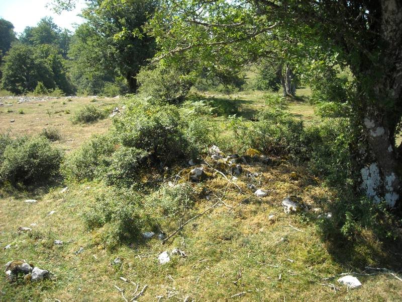 Raso de Auntzusta