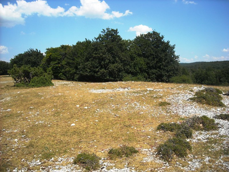 Zelaizaranako Gaña