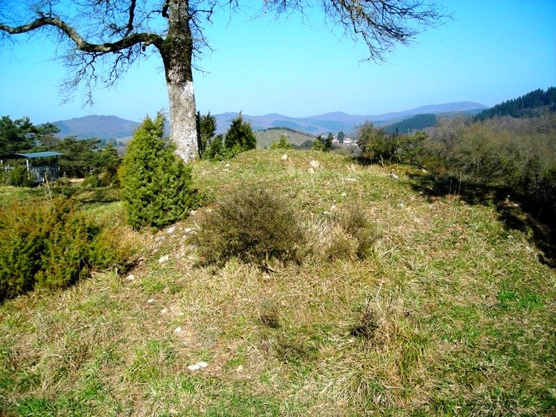 Laurimendi