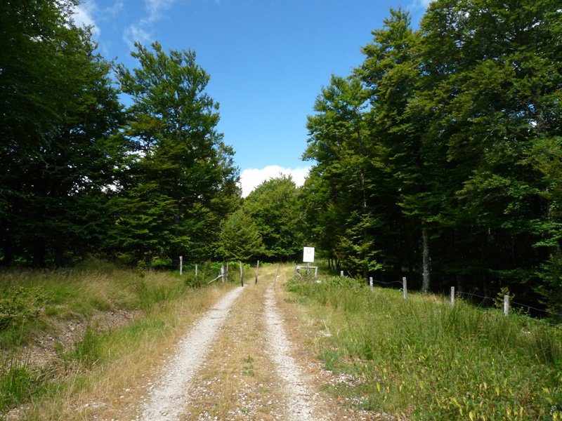 Sorogaingo pista
